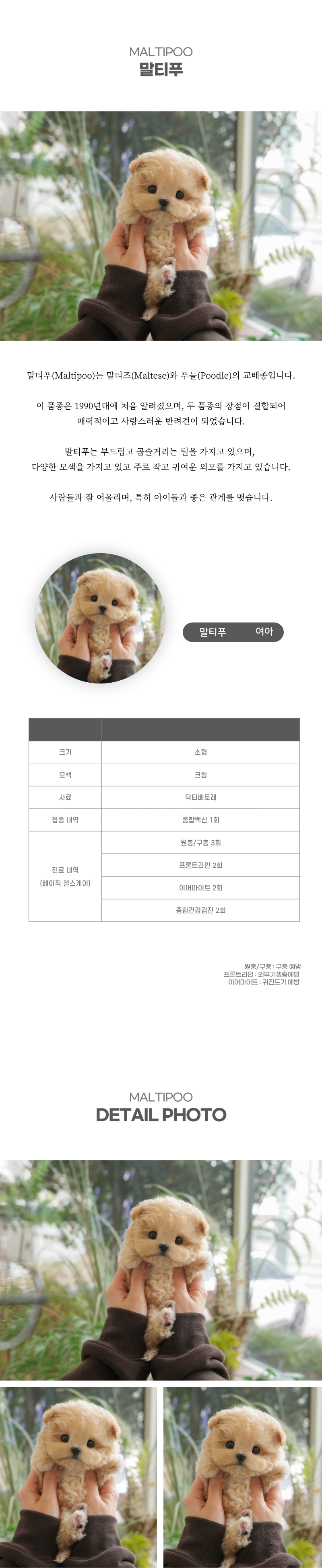 말티푸_상세이미지_2
